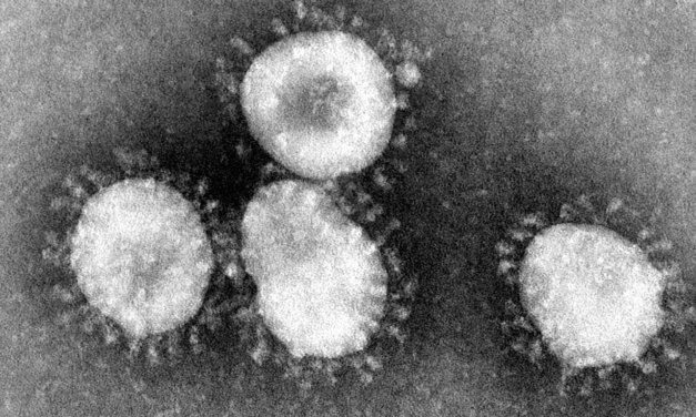 Coronavirus: Sudan on high alert